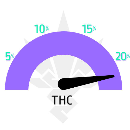 The White OG feminizovaná semena marihuany obsah THC